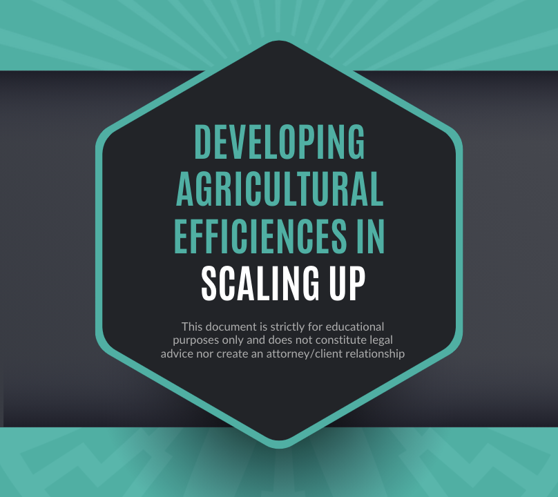 Developing Agricultural Efficiencies in Scaling Up