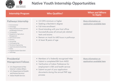 Native Youth Internship Opportunities