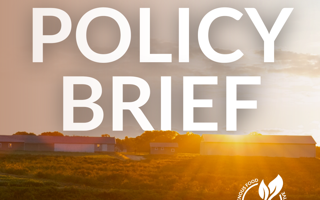 Policy Brief – April 23, 2024