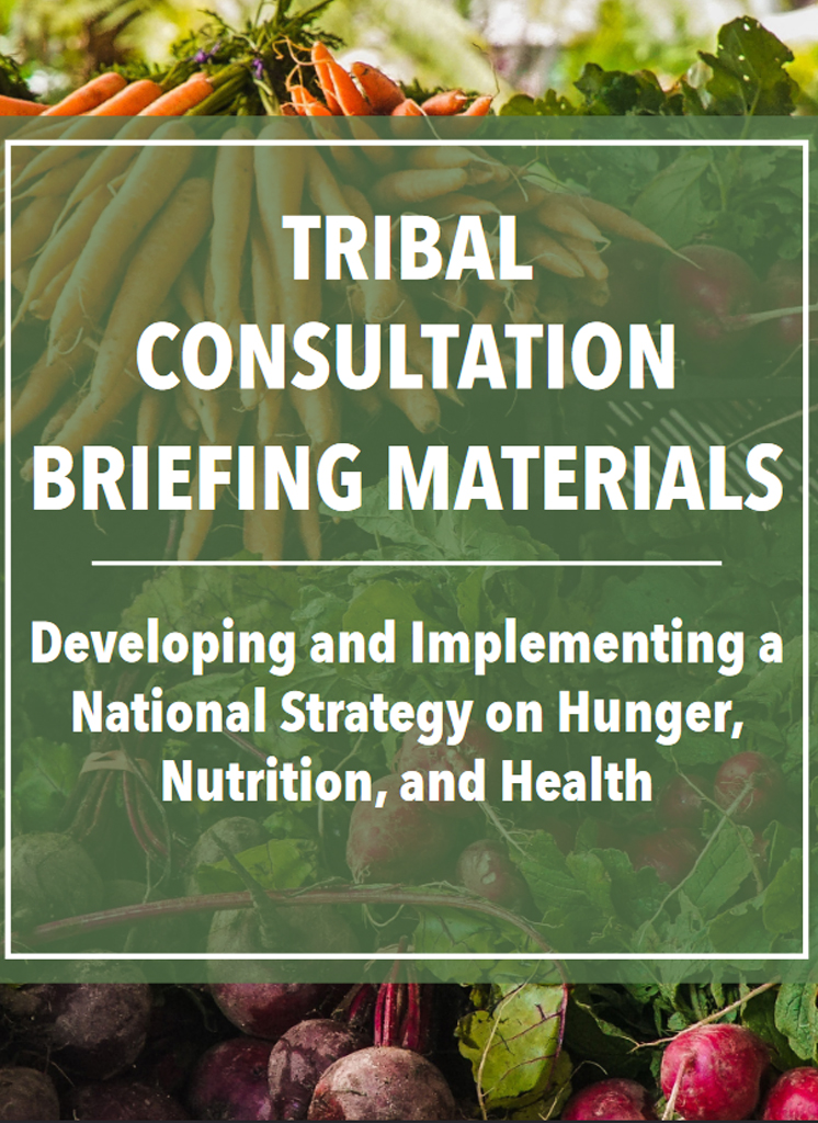 Tribal Consultation Briefing Materials