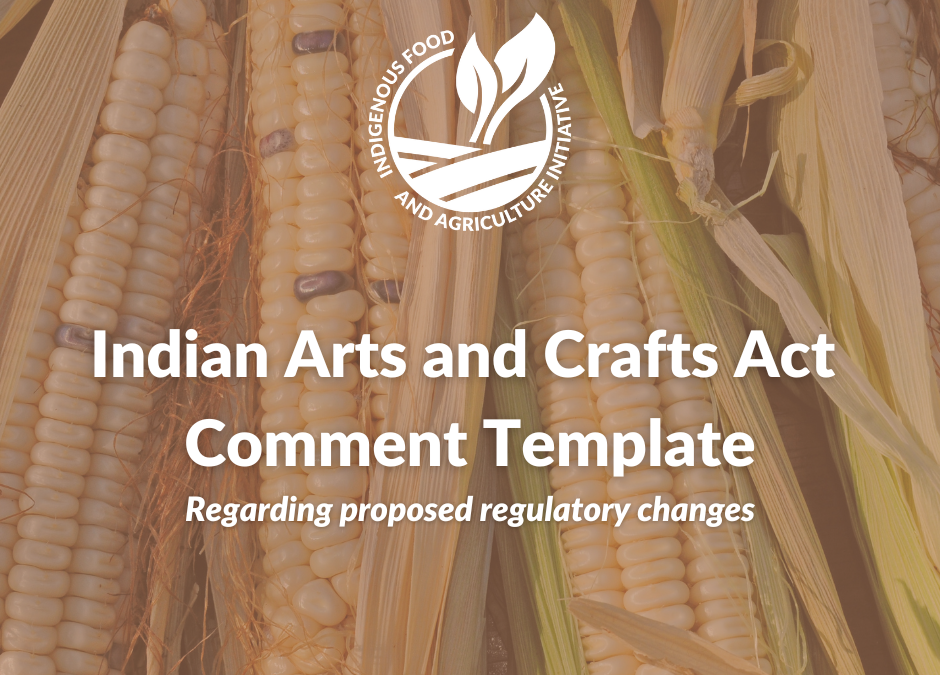 Indian Arts and Crafts Act Comment Template