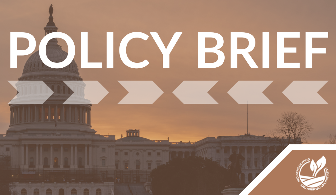 Policy Brief – September 26, 2023