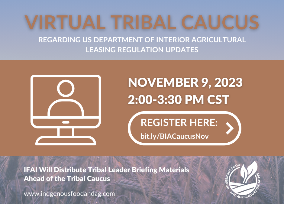 Virtual Tribal Caucus November 9