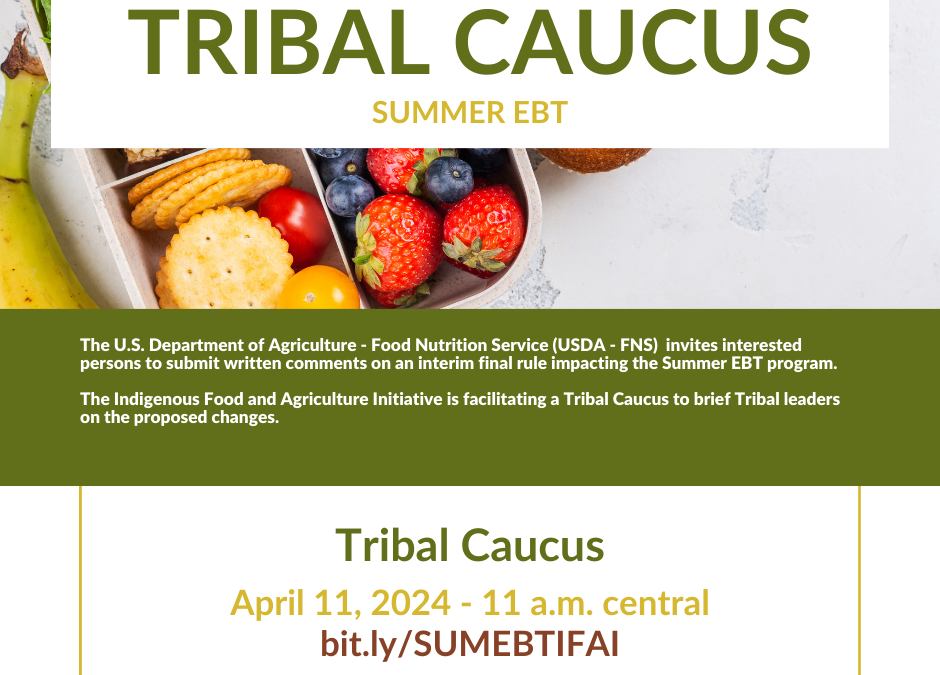 Upcoming Tribal Caucus Summer EBT – April 11, 2024 @ 11 a.m. central