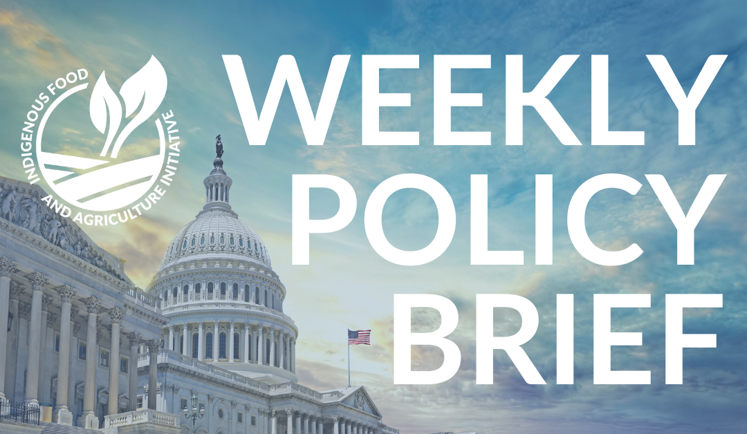 Policy Brief – April 30, 2024