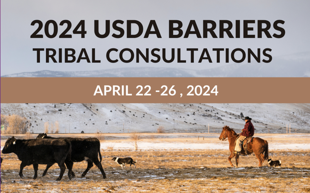 2024 USDA Barriers Tribal Consultations